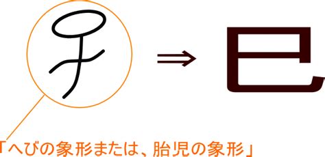 巳 蛇|巳／巳年の語源・由来とは